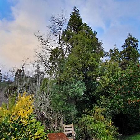 Casa Del Sol Villa Villa La Angostura Dış mekan fotoğraf